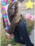 Tayonna...