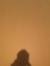 Thi