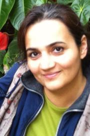 Dr Nazy Majd