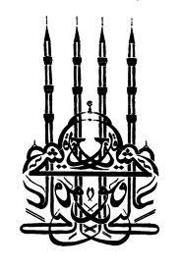 عبد النجيب