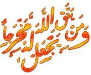 تربوية منتجة