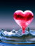 Rahil Y...