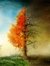 Alex Wommack