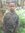 Wandimu...
