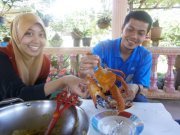 Nurul Halim
