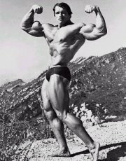 Mahmoud Heikal