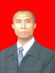 Jersi Palili