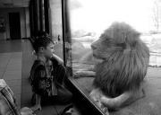 Eng Ahmed