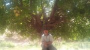 Saeed Faraman