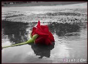 بثينة عبد الحميد