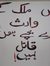 Afia Aslam