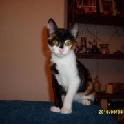 Rita Maurício soares