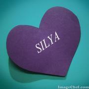 Silya Hb