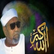 حمادة نصر