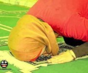 زهرة الحياه