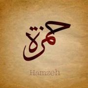 Eng Hamzeh