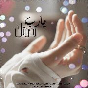 Naima Mid