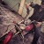Ronak Shah