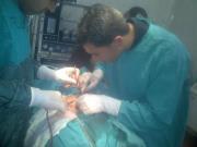 Hesham Ahmed