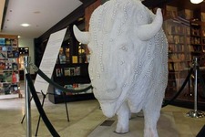 Full Circle Bookstore