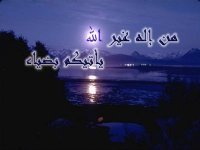Noha A. abdel-aziz