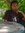 Lanta U...