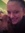 Molly S...