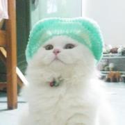 ปวีณ อิศรางกูรฯ