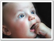 محمد العربي