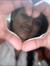 Prachi ...