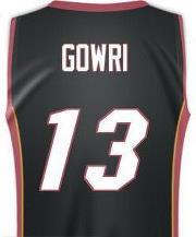 Gowrishankar Gowri