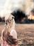 Asra Ahmad