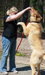 Heather Brown behmlander