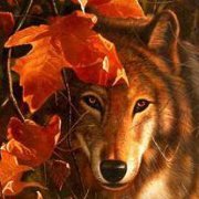 Miranda Badillo martinez