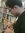 Ahmad A...