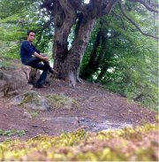 Mohammad Haji babaee