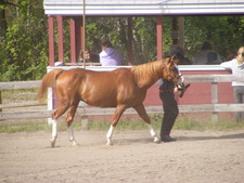 Leslie Mcleod-warrick