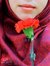 Cik Han...