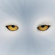 Goodreads profile picture for @Reply