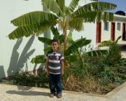 Ahmed Elsayed