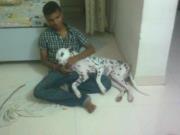 Ashish Vishwakarma