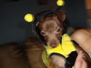 Sandra Barrick young