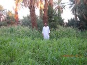 Abderrahmane Timoulay