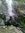 Dandeli...