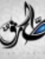 Tarek S...