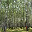 Ben