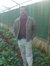Vijay D...
