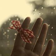 Aml Ahmed