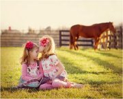 اسيل الجعبة