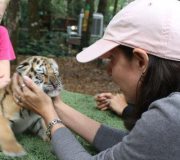 Amanda Blades johnson